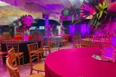 Tropical-Neon-67