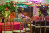 Tropical-Neon-73