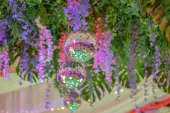 Tropical-Neon-74